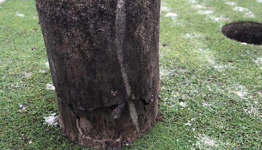 VGR bij golfclub Zeewolde