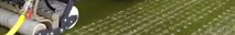 vlcsnap-2025-05-13-15h26m41s894