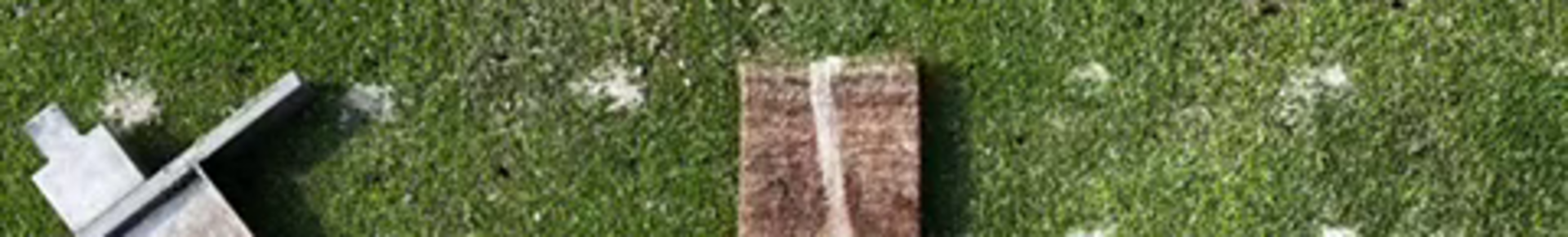 vlcsnap-2025-05-13-15h54m17s910