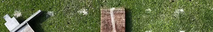 vlcsnap-2025-05-13-15h54m17s910