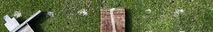 vlcsnap-2025-05-13-15h54m17s910