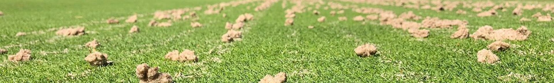 24 10 22 Jardin-Net 2241576 VGR Groep Content 08-10 Nieuws