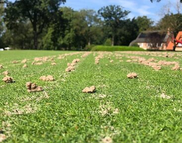 24 10 22 Jardin-Net 2241576 VGR Groep Content 08-10 Nieuws