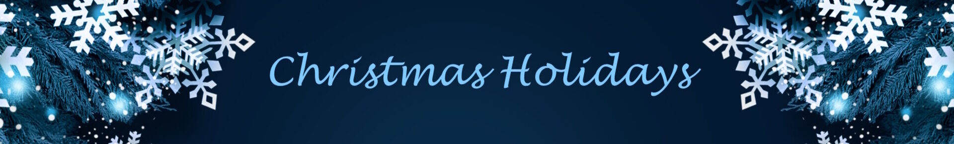 2025 Kerst - header website