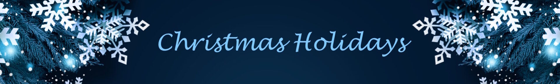 2025 Kerst - header website