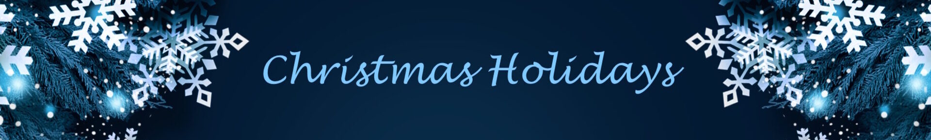 2025 Kerst - header website