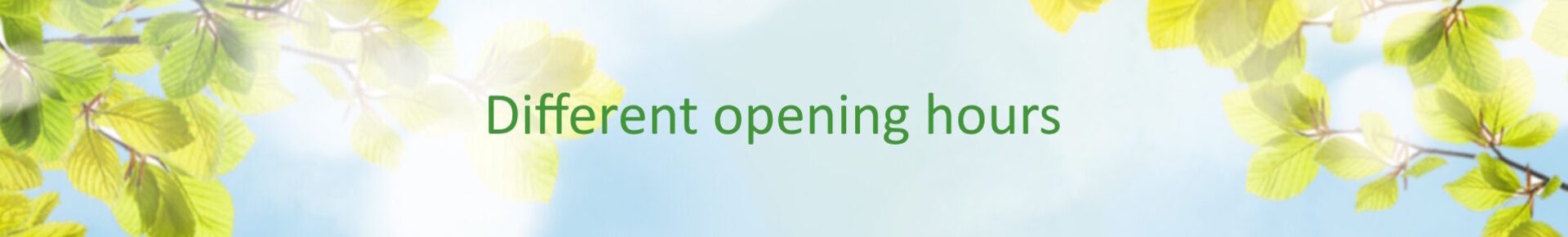 2025 afwijkende openingstijden engels