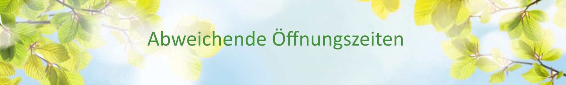2025 afwijkende openingstijden duits