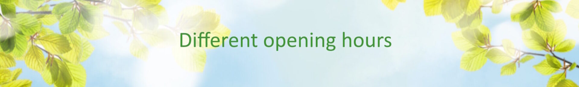 2025 afwijkende openingstijden engels