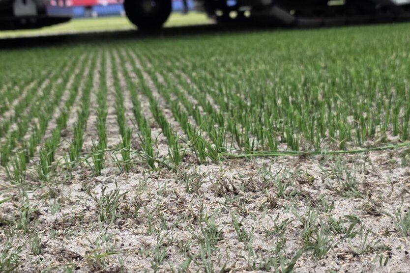 26 08 06 Inprikken kunstgras hybride vezel in veld